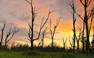 生物質(zhì)能資源數(shù)據(jù)庫信息系統(tǒng) 賦能綠色能源發(fā)展的數(shù)字基石